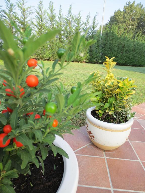 Ladino Room & Breakfast Ferrara Bagian luar foto